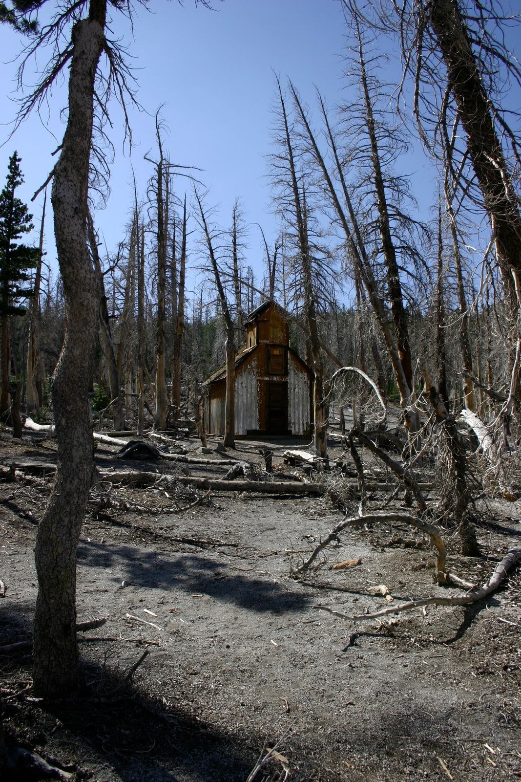 This building reminded me of an old decrepit church. (It was probably an emergency snow cabin or something.) Natural CO2 outgassing from a magma body beneath Mammoth Mountain asphyxiated more than 100 acres of trees near Horseshoe Lake in the early 1990s. The gasses become concentrated to deadly levels in enclosed structures such as cabins.