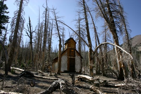 This building reminded me of an old decrepit church. (It was probably an emergency snow cabin or something.) Natural CO2 outgassing from a magma body beneath Mammoth Mountain asphyxiated more than 100 acres of trees near Horseshoe Lake in the early 1990s. The gasses become concentrated to deadly levels in enclosed structures such as cabins. 