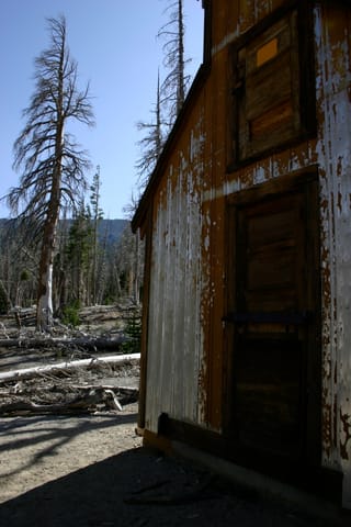 This building reminded me of an old decrepit church. (It was probably an emergency snow cabin or something.) Natural CO2 outgassing from a magma body beneath Mammoth Mountain asphyxiated more than 100 acres of trees near Horseshoe Lake in the early 1990s. The gasses become concentrated to deadly levels in enclosed structures such as cabins. 