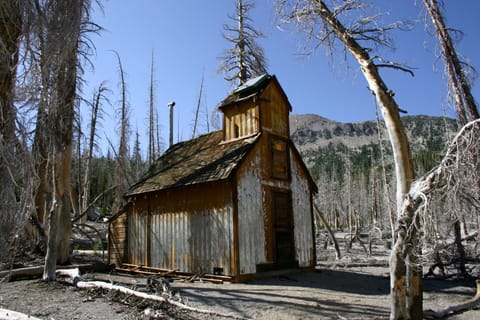This building reminded me of an old decrepit church. (It was probably an emergency snow cabin or something.) Natural CO2 outgassing from a magma body beneath Mammoth Mountain asphyxiated more than 100 acres of trees near Horseshoe Lake in the early 1990s. The gasses become concentrated to deadly levels in enclosed structures such as cabins. 