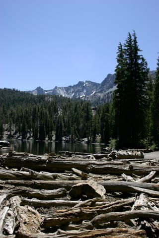 Deadwood on the shore of TJ Lake or Lake Barrett (not sure which). 