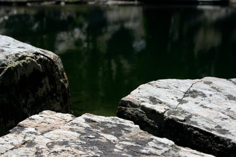 Broken rocks colored with lichen near a lake. 