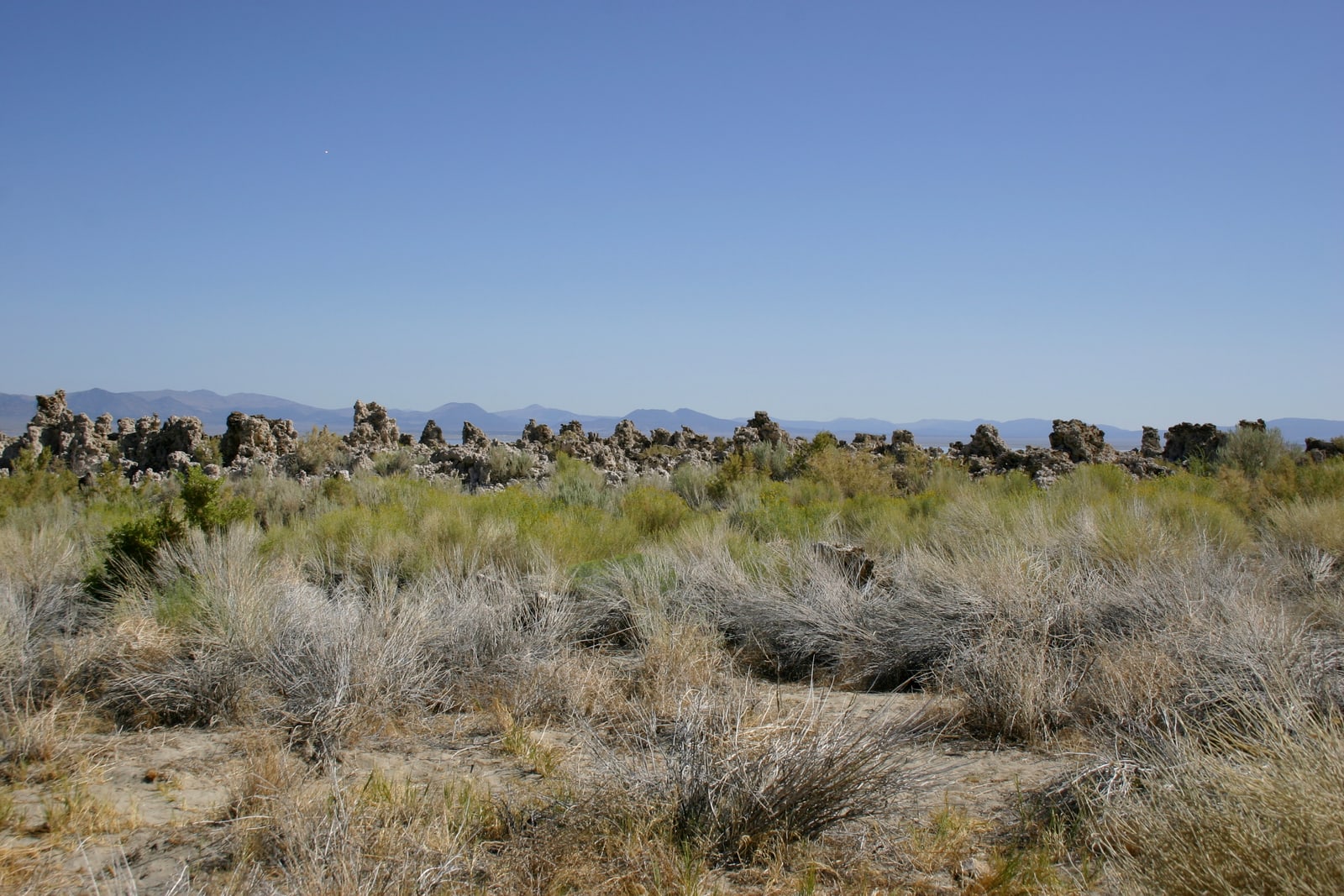 Tufa towers at Mono Lake.