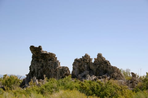 Tufa at Mono Lake. 