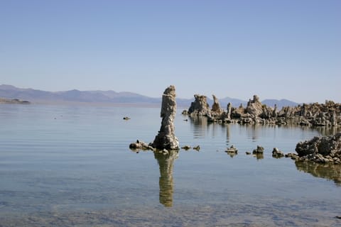 Tufa towers in Mono Lake.