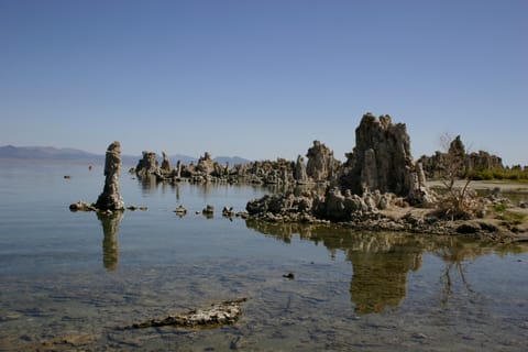 Tufa towers in Mono Lake. 