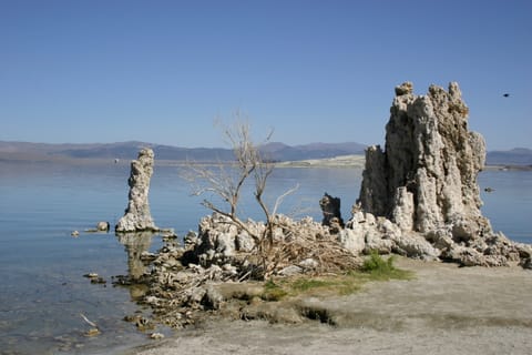 Tufa towers at Mono Lake. 