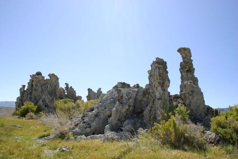 Tufa towers at Mono Lake. 