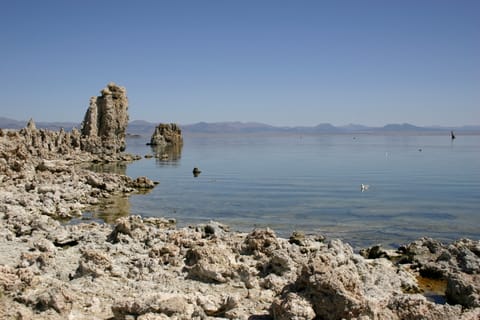 Tufa along the shore at Mono Lake. 