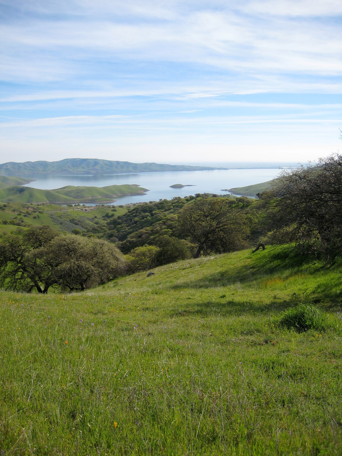 Green landscape in Pacheco State Park, California. I believe the body of water shown is the San Luis Reservoir.