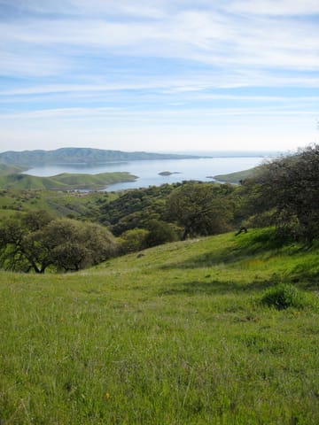 Green landscape in Pacheco State Park, California. I believe the body of water shown is the San Luis Reservoir. 