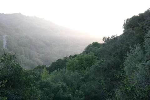 The setting sun casts slanting rays on green hills.