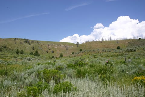 Fluffy white clouds crest a hill in Idaho. 