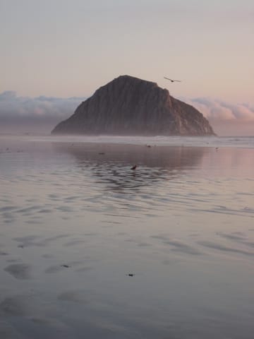 Morro Rock bathed in pink light and backed by fluffy white clouds on a dreamy evening. 