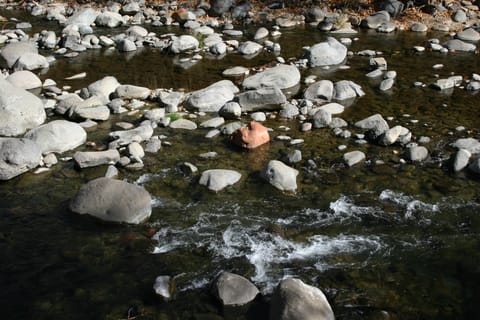 A red rock stands out among gray ones in a creek in Sedona. 