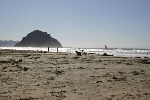 An American flag flies on the beach near Morro Rock. 
