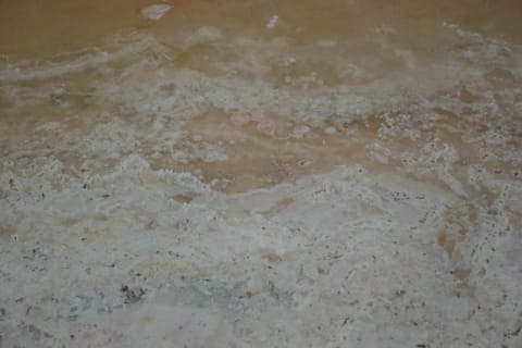 Macro of a natural salt marsh. 