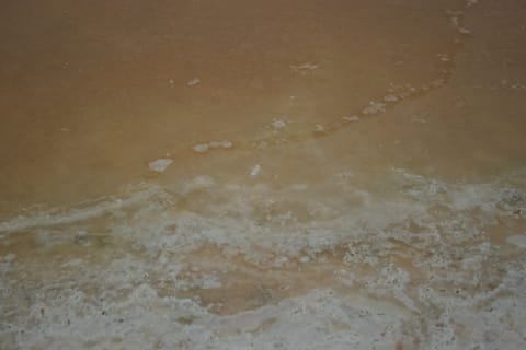 Macro of a natural pink salt marsh. 