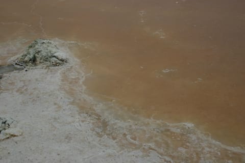 Macro of a natural pink salt marsh. 