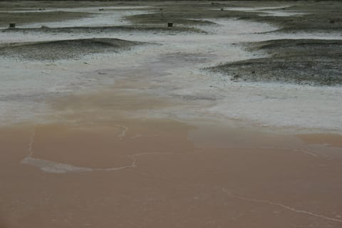 A natural pink salt marsh. 