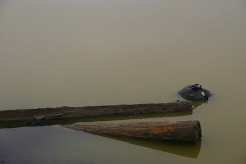 Rotting logs and a garbage bag partially submerged in the murky green water of a marsh. 