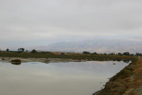 Still marsh water reflects faded hills within a curved shoreline.