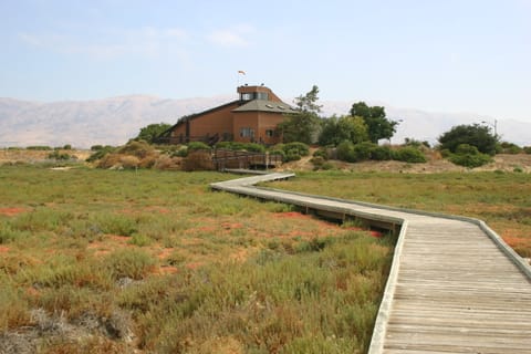 A zig-zaggy boardwalk leads to the Environmental Education Center in Alviso, California.