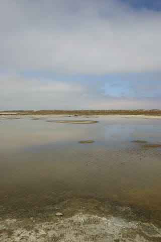 The still water of a salt marsh reflects white and gray clouds in a blue sky.