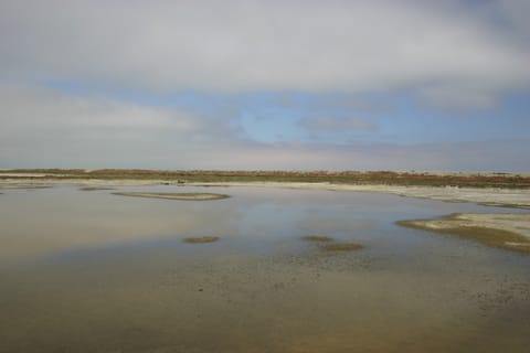 The still water of a salt marsh reflects sky and clouds.