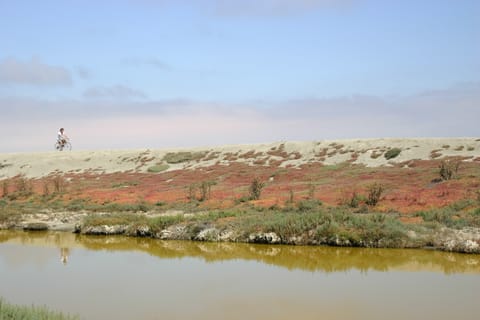 A cyclist reflected in the water of a salt marsh rides across the horizon.
