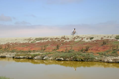 A cyclist reflected in the water of a salt marsh rides across the horizon.