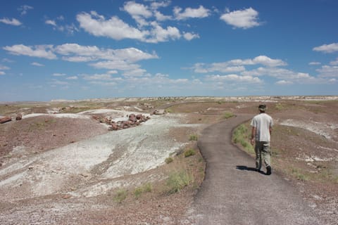 Petrified wood in this desolate landscape has been fossilized and turned to stone. A man walks a lonely road. 