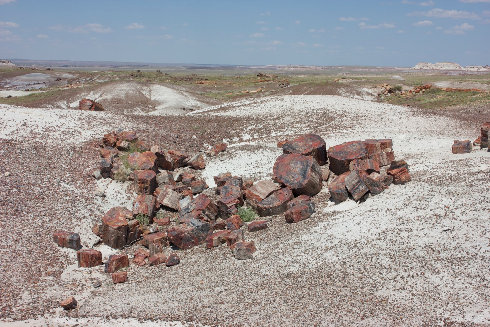 Petrified wood in this desolate landscape has been fossilized and turned to stone.