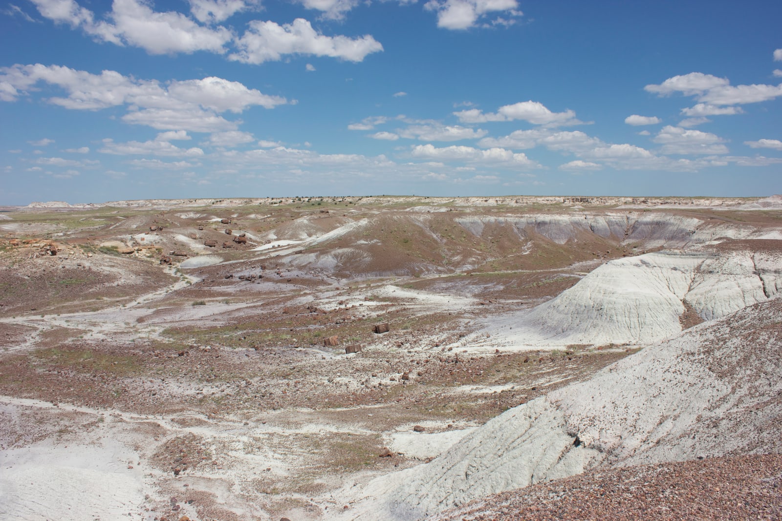 Petrified wood in this desolate landscape has been fossilized and turned to stone.