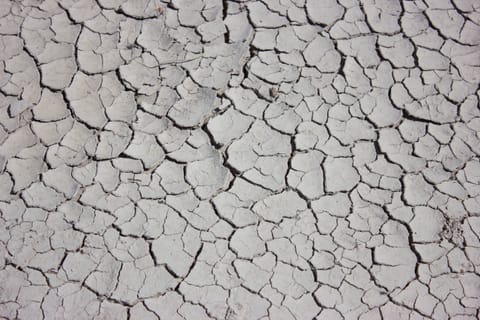 Dried and cracked mud.