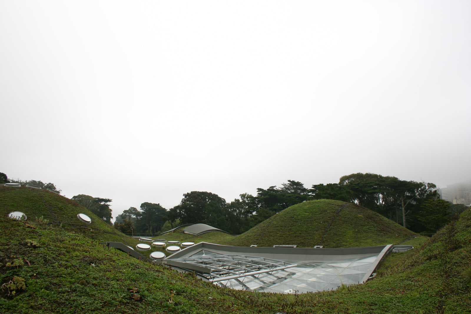 California Academy of Sciences "living roof," rolling hills with round skylights.