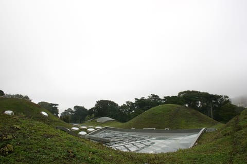 California Academy of Sciences "living roof," rolling hills with round skylights.