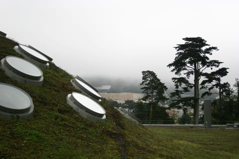 California Academy of Sciences "living roof" with round skylights.