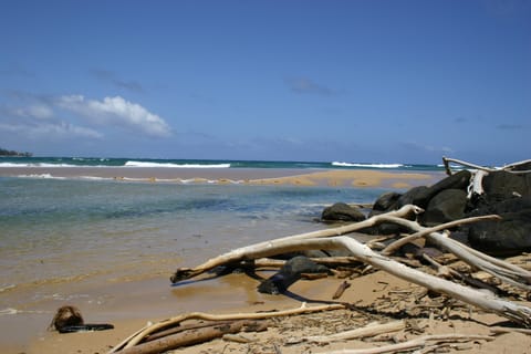 The mouth of the Wailua River, where it meets the Pacific Ocean. It felt sacred to me, a between-place, a place of transition and transformation. 