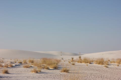 White Sands National Monument, New Mexico.