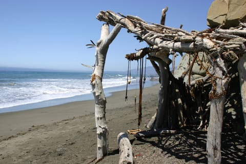 A hut constructed of driftwood and seaweed on the beach. 