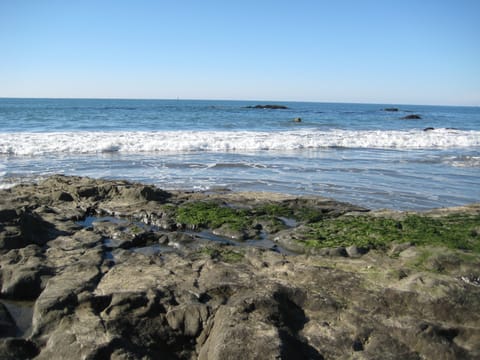 Rocky beach in Morro Bay. 