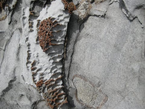 Strange lava formations near Dragon's Teeth, Kapalua, Maui. 
