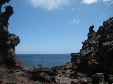Near Nakalele Blowhole.