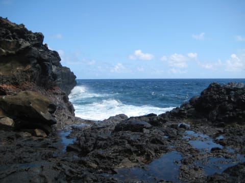 Near Nakalele Blowhole.