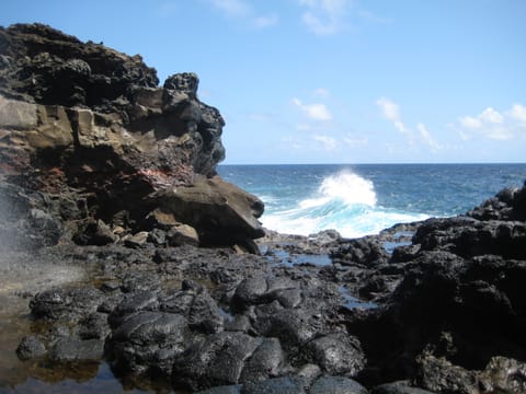 Near Nakalele Blowhole.