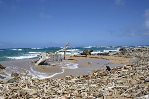 Driftwood structure at the mouth of the Wailua River, where it meets the Pacific Ocean.