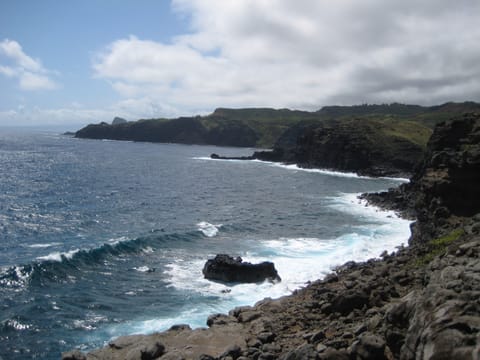 Beautiful green coastline near Nakalele Blowhole.