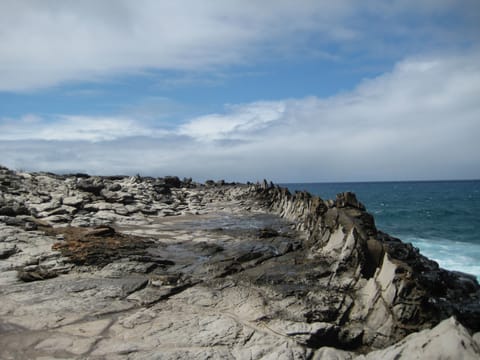 Dragon's Teeth, Kapalua, Maui.