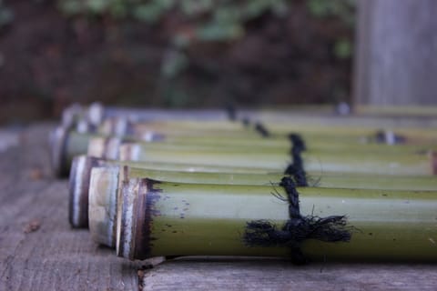 Closeup of dried green bamboo stalks strung together with black rope. 
